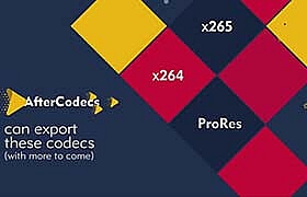 AE/PR/AME插件-特殊编码加速输出渲染 AfterCodecs v1.10.11 Win