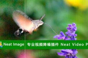 专业视频降噪达芬奇插件 Neat Video Pro 5.5.1 Win CE