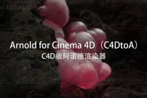 C4D插件-Arnold SolidAngle C4DtoA 4.4.0 Win R21-R26 阿诺德渲染器