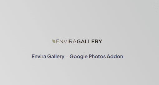 Envira Gallery – Google Photos Addon 1.0.1 官方拓展插件下载