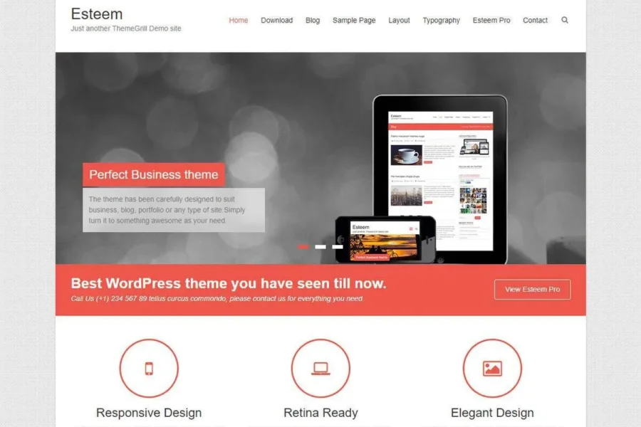 Esteem Pro v2.2.7 WordPress主题：终极汉化版与性能优化指南