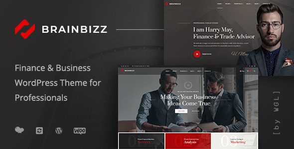 BrainBizz v1.3.13 金融与商业 WordPress 主题 – 官方汉化版