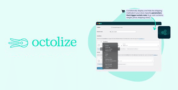 Conditional Shipping Methods for WooCommerce 1.5.13 官方汉化版 – 条件式配送插件