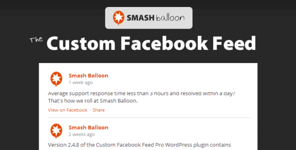 <span class="bbh-title-badge" style="background:#28a745">亲测</span> Custom Facebook Feed Pro v4.8.1 Chinese Version: Essential WordPress Plugin for Automatically Syncing Facebook Content