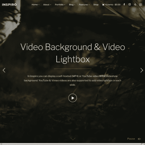 独家 WPZoom Inspiro Premium v1.9.0 WordPress 主题 | 专业 Elementor 设计