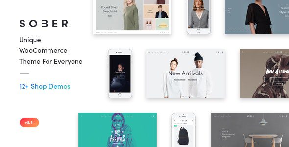 The Ultimate Guide to the Sober WordPress E-commerce Theme: Essential for WooCommerce Website Building (2024 Latest Edition)