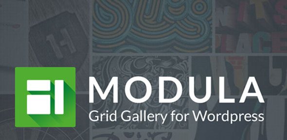 Screenshot of the Modula Pro WordPress image gallery plugin admin interface, showing grid layout settings options