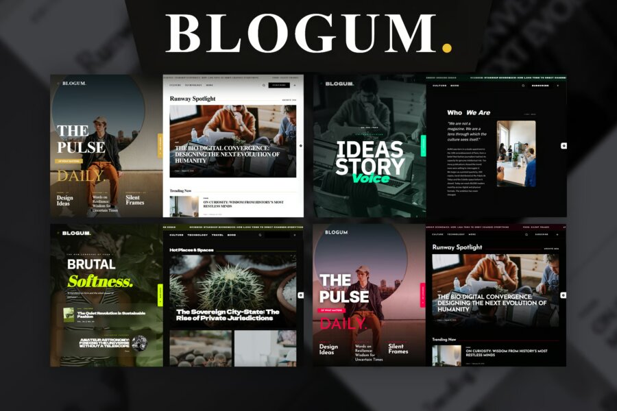 Blogum v1.2.0 Official Chinese Version: Essential Editorial & Magazine WordPress Theme