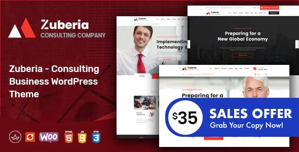Zuberia 2.2 商业咨询WordPress主题：专业金融服务终极选择