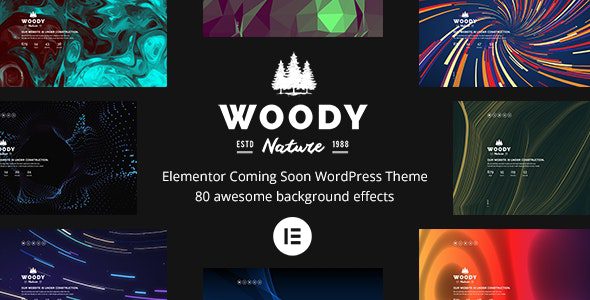 Woody v6.0.2 独家中文版｜Elementor 即将推出 WordPress 主题