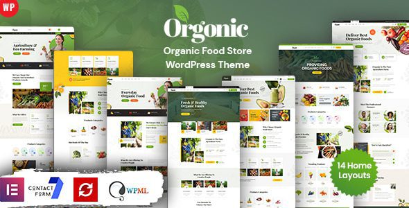 Orgonic 3.0 终极指南：有机食品店WordPress主题完整评测